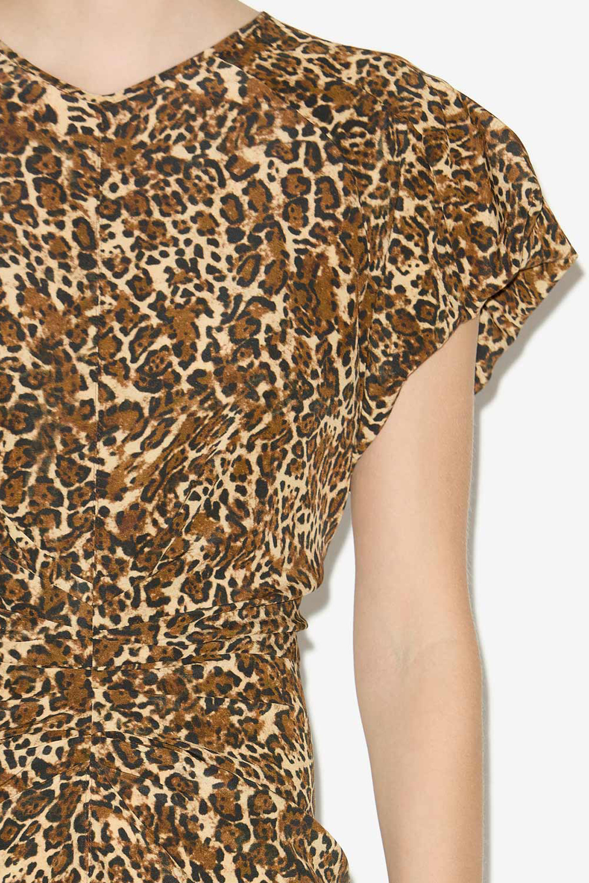 Isabel Marant Terena Dress - Leopard
