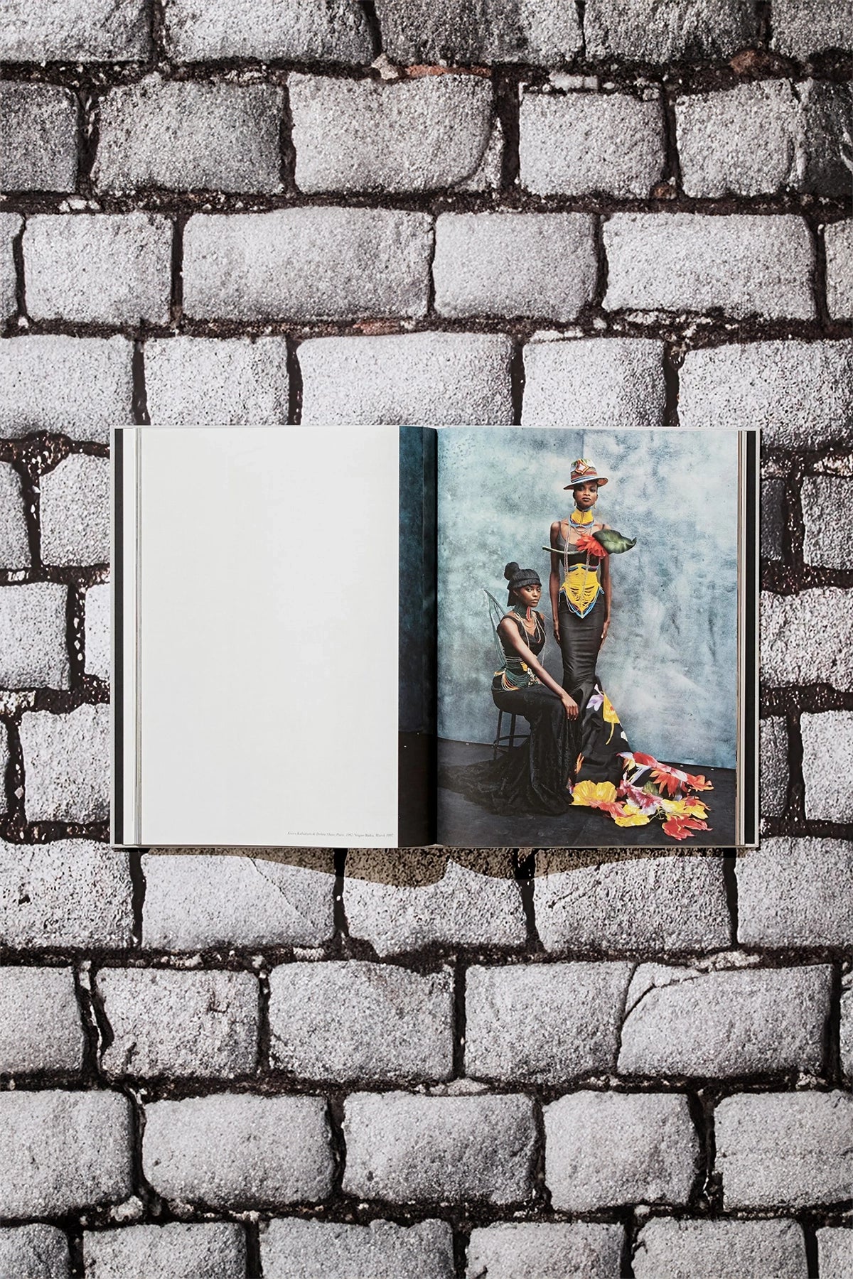 Taschen Peter Lindbergh Dior