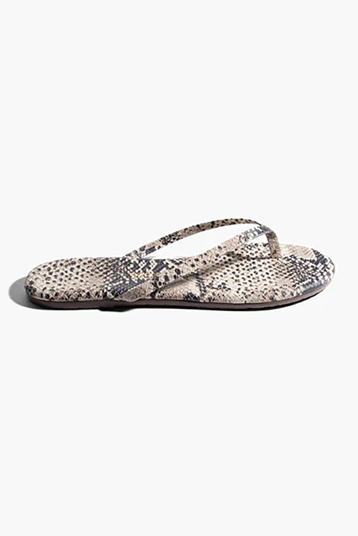 Tkees Studio Exotic - Sandsnake