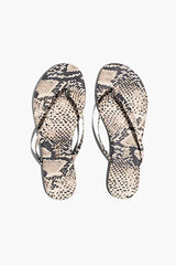 Tkees Studio Exotic - Sandsnake